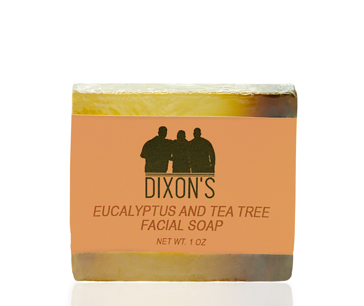 Eucalyptus & Tea Tree Facial Soap (10 pack)